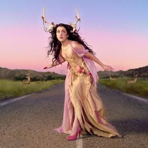 Tales of a Failed Shapeshifter Signed Insert