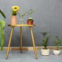 Round End/Side Tables for Living Room, Ideal for Any Room-Side Tables Living Room, Bedroom, Gold Plant Stand Balcony, Modern Coffee/Accent Table, 15.8D x 15.8W x 18.9H in