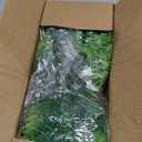 TURNMEON Artificial Plants Outdoor Fake Plants UV Resistant No Fade 12 Bundles 4 Styles Faux Plant Plastic Greenery Shrubs Boston Fern Lavender for Outside Gardens Porch Patio Indoor Home Decor
