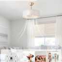 20" Caged Fandelier Ceiling Fans with Lights, Gold Boho Chandelier Ceiling Fan with Light Remote Control with 6 Speeds for Bedroom, Living Room, Nursery