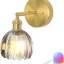 Battery-Operated Vintage Tulip Wall Sconce, RGBWCCT Rechargeable Bulb with 9 Colors, Tulip Smoke-Grey Glass and Brass Metal Frame, 90 Swivel Head, for Living Room Bedroom Hallway