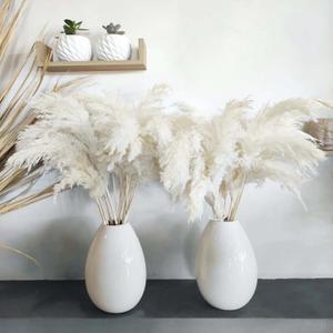 30 Stems 28" inch Large White Pampas Grass Fluffy, Boho Home Decor, Natural Fluffy Pompas Grass Pampas for Living Room Decor, Table Decor, Boho Decor Floor, Party Wedding Decor