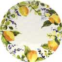Lemon Zest Melamine Dinner Plates Set of 6 – Unbreakable Outdoor Plates for Patio Dining, Garden Parties, BBQs, RV Camping, Farmhouse Kitchen, and Everyday Family Meals