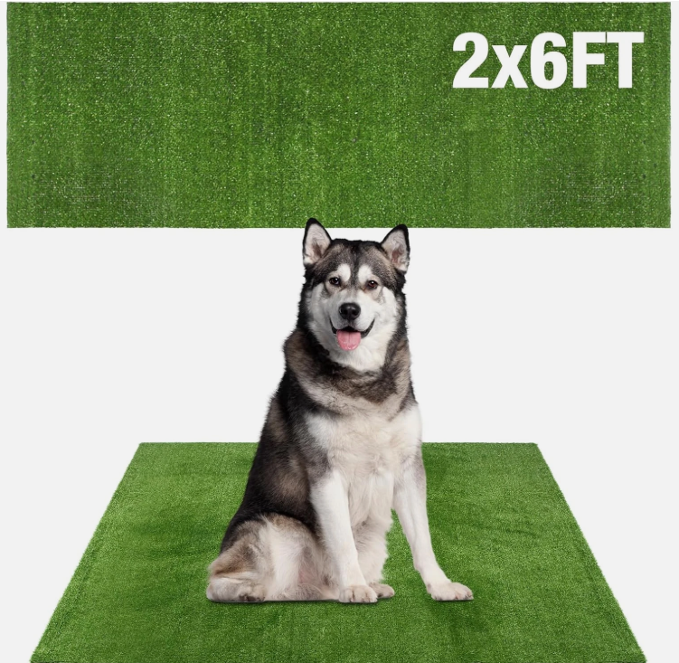 GLOBREEN Grass Pad for Dog Large Size  2FTx6FT, Dog Potty Training Turf, Indoor Outdoor Pets Pee Fake Grass for Balcony Patio Yard
