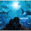 Fabric 7x5ft Shark Theme Photography Backdrop Underwater Deep Ocean Animals Fish Background Aquarium Kids Party Decorations Photo Banner Props