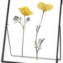 REDHUGO Glass Pressed Flower Frame Handmade, Floating Picture Frames for Pressed Flowers, Tabletop Artwork Photo Frames, Brass Desk Picture Frame for Home Office Plant Specimen, Black, 8x10 Inches
