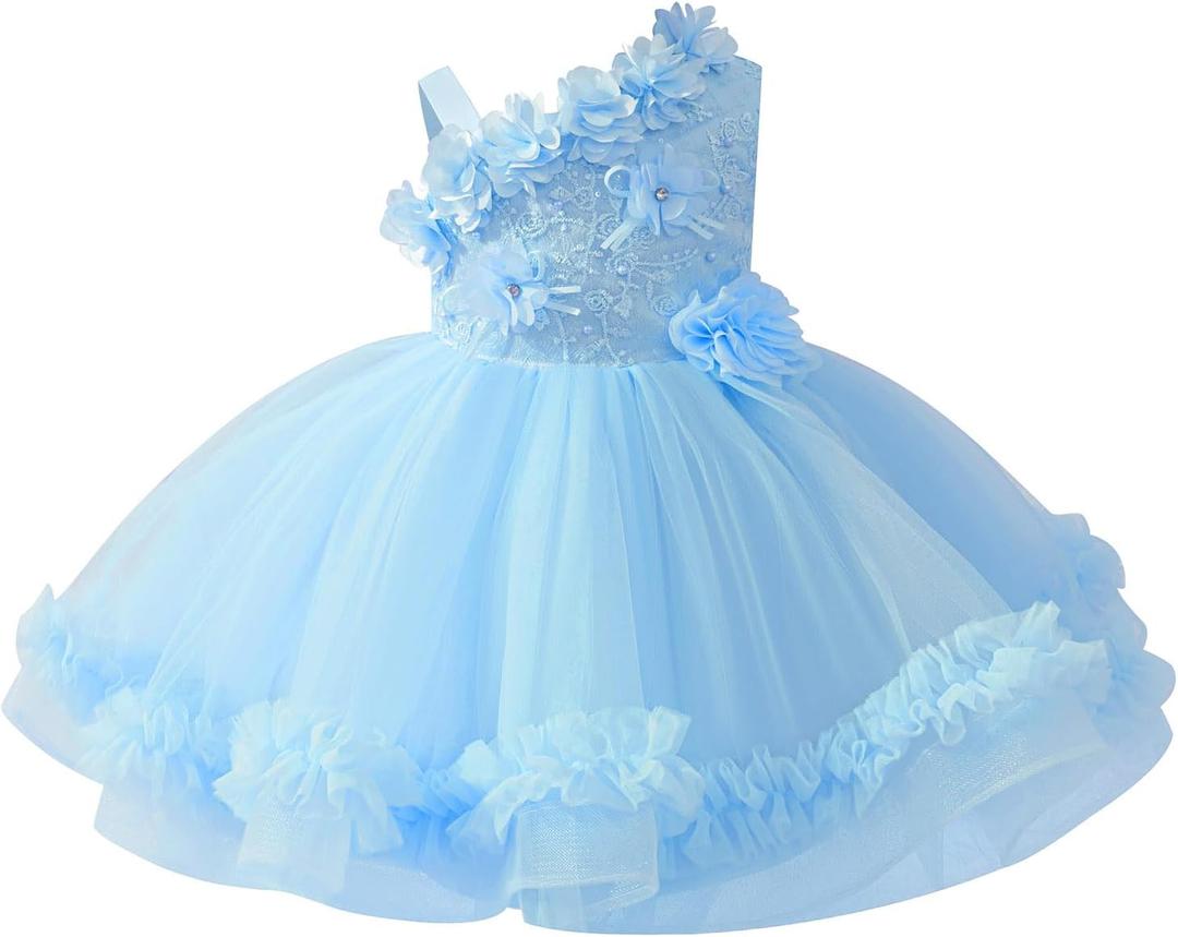 Baby Flower Girl One Shoulder Formal Wedding Dress 6M 9M 1st 2nd 3rd 4th 5t Birthday Cake Smash Outfits Floral Embroidery Toddler Tea Party Pageant Prom Bridesmaid Ball Gown Sky Blue 9-12 Months