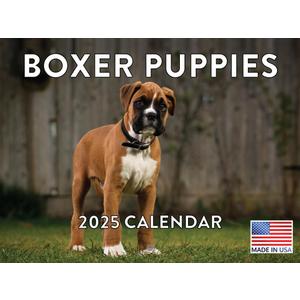 Boxer Puppy Calendar 2025 Boxer Puppies Monthly Wall Calender 12 Month | American Made In The USA