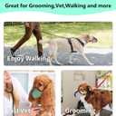 Dog Muzzle for Extra Large Breed Dogs to Prevent Biting Chewing Barking Soft Air Mesh Muzzles Reflective Ajustable Full Coverage Dog Mouth Guard Cover for Grooming Scavenging Colour XL