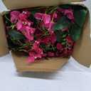 12pcs Artificial Bougainvillea Flowers Garland Totally 70.87 ft Fake Silk Bougainvillea Vines Long Plant Faux Wreaths for Centerpieces Runner Wedding Arch Wall(Plum Purple)