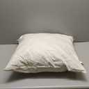 21" x 21" 25/75 Down Feather Pillow Form