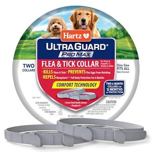 Hartz UltraGuard ProMax Flea & Tick Collar for Dogs I 12 Months Protection I Soft & Comfortable Flea & Tick Prevention I 2 Pack,Gray