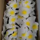 Crowye 100 Pcs White Foam Hawaiian Plumeria Flower Clips Bulk 3 Sizes Artificial Frangipani Petals Cap Wreath Floral DIY Craft for Home Luau Party Decorations Beach Wedding Guests