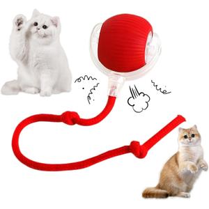 Interactive Rolling Cat Ball - 360Automatic Chew Toy for Active Cats, Rolling Small Dog Cat Toys,Smart Automatic Fast Rolling Pet Ball - cat Toys (Red)