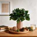 12 Inch Artificial Plant Indoor,Small Fake Plants Eucalyptus Stems With Vase,Faux Greenery In Pot For Farmhouse Home Decor,Bathroom Living Room Kitchen Office Coffee Table Centerpiece (Brown)