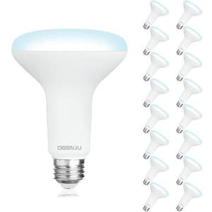DEGNJU 16 Pack BR30 LED Bulb, Dimmable Indoor Flood Lights 7W Equivalent 65W 5000K Daylight, CRI80, 650 LM, E26 Base, 15000 Lifetime Hours, Interior Energy Saving Recessed Light Bulb, Flicker-Free