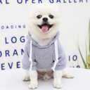 2 x Dog Hoodie for Small Medium Large Dogs,Fleece Hoodie for Dogs with Zipper Pocket,Fall Winter Warm Cat Puppy Sweatshirts(Grey,XL)