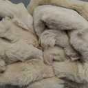 Cozy Bliss Faux Fur Throw Blanket for Couch, Fuzzy Soft Plush Thick Bubble Blanket for Sofa Bedroom Living Room, 50 * 60 Inches Beige