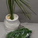 Der Rose 44'' Artificial Palm Tree Large Fake Tropical Faux Plants Indoor and Outdoor Tall for Home Bathroom Porch Outside Patio Decor (Light Beige Pot)