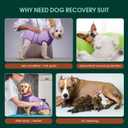Kuoser Recovery Suit for Dogs After Surgery, Soft Dog Surgery Suit Female Male, Breathable Pet Surgical Recovery Shirt, Anti Licking Dog Onesie for Abdominal Wounds Cone Alternatives, Purple XL