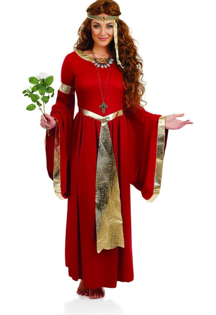 fun shack Renaissance Dress Women, Medieval Costume for Renaissance Faire, Elegant Historical Dress for Events, S