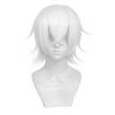 Short White Wig for Men/Women Short White Men's Wigs for Cosplay Anime Cosplay Wig Layered Party Wigs with Bangs for Halloween Costume Christmas Peluca Negra Synthetic Hair (White-60A)