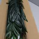 HAIHONG 4.5FT Artificial Palm Tree,Faux Areca Palm Plant with Real Touch Leaves and Adjustable Branches,Fake Tropical Palm Tree for Home Office Indoor Outdoor Modern Decoration