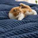 Bedsure Navy Quilts Queen Size - Queen Quilt Bedding Set Bedspread Coverlet, Lightweight Neutral Striped Bedding, 3-Piece Set with 90"x96" Coverlet & 2 Pillow Shams, All-Season Soft Microfiber