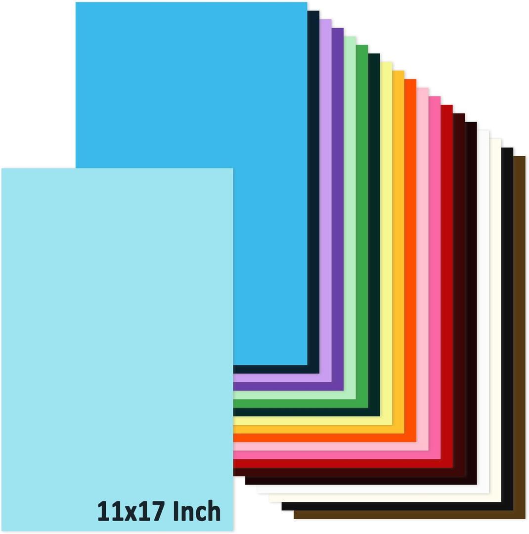 11x17 Large Cardstock A3 Color Paper Colored Card Stock 60 Sheets Multi-Color Poster Sheets 20 Colors 80lb Thick Printer Paper Display Board for Art and Crafts, Exhibits