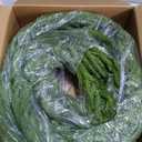 WBHome 9ft Real Touch Norfolk Pine Christmas Garland, Winter Greenery Garland for Christmas, Holiday Seasonal Outdoor/Indoor Home Decor, 9FT Long