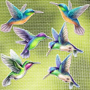 Eersida 16 Pcs Hummingbird Magnets for Screen Doors Double Sided Screen Door Magnets Stickers Decorative Magnetic Decor for Window Patio Sliding Doors Protector