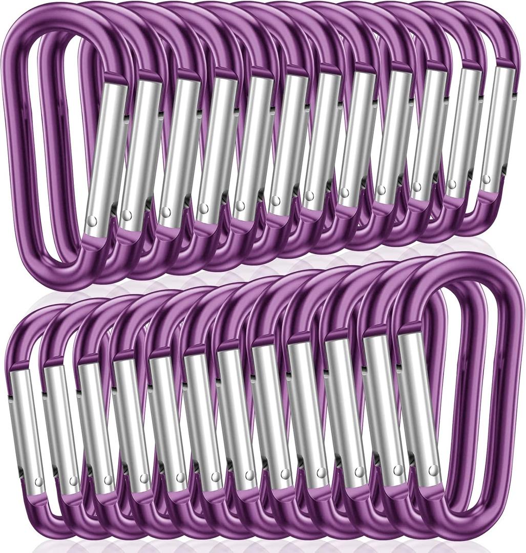 STURME 2" Aluminum D Ring Carabiners Clip D Shape Spring Loaded Gate Small Keychain Carabiner Clip Set Outdoor Camping Mini Lock Snap Hooks Spring Link Key Chain Durable Improved 24 PCS