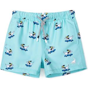 2 x SURF CUZ Boys Swim Trunks Toddler Swim Shorts UPF 50+ Bathing Suit for Boy Swimsuit Quick Dry Mesh Beach Boardshorts Swimwear (10-12 Years, Skateboard Dog)