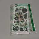 Sizzix Layered Clear Stamps Set Painted Florals, One Size, Multicolor