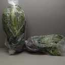 QIANYUN 2PCS Fake Hanging Plant-30Inch UV Resistant Boston Fern for Bedroom Living Room Garden Decor- Including Hanging Planters (Dark Green)