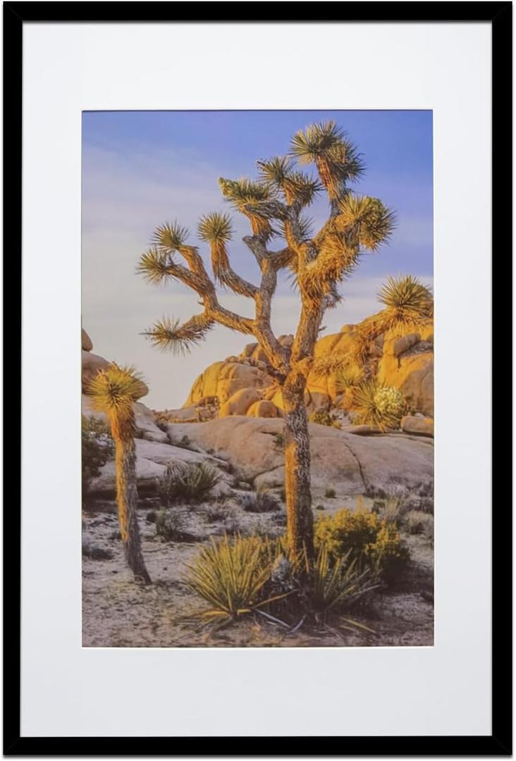 Art Emotion Black 16x24 Picture Frame  Displays 12x18 Photos with Mat or 16x24 Without Mat, Wall Hanging Photo Frame, 1-Pack