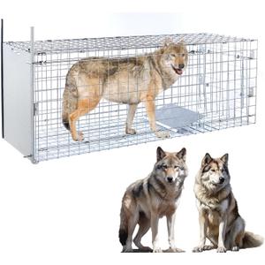 57" Large Humane Live Animal Trap, Collapsible Animal Catcher Cage for Large Dogs up to 55 pounds, Foxes, Coyotes, Bobcat, Similar Sized Animals
