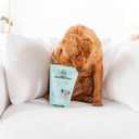 Tanks Freeze Dried Chicken Meatballs  Cage-Free Chicken, Single-Source Protein, Grain-Free, No Preservatives or Byproducts  Natural Dog Treats for All Breeds  4 oz Pouch (1 Count (Pack of 1))