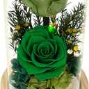 Preserved Roses & Fresh Flowers Bouquet  Gift for Women, Roses That Last Forever, Flowers for Delivery Prime, Green Roses  Birthday, Mothers Day & Christmas