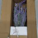 DILATATA Lavender Flowers Artificial Decor in Cement Pot - Faux Plants for Rustic Home, Bathroom, Table Centerpieces, Wedding Decor - Purple Potted Lavender Flower