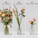 Kingrol 12 Pack Mini Glass Bud Vases, Small Clear Flower Vases for Single Stems, 4.9 Inch Vintage Embossed Bottles for Home Shelf, Bathroom & Desk Decor