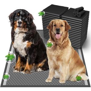 37"x54" Activated Charcoal Dog Pee Pads - 100 Count,Extra Large,Super Absorbent,Leakproof,Long-Lasting Odor Control-Essential pet Training Pads for Large Dogs