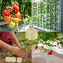 Halatool 1.5 Inch Rockwool Cubes Garden Stonewool Grow Cubes Starter Plugs for Hydroponics Soilless Cultivation Seedlings Cuttings Clone Plants Germination Start (4 Sheets, 196 Plugs in Total)