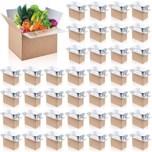 Nuanchu 50 Pcs Insulated Shipping Box with Liner Bag, 9" x 5" x 6"