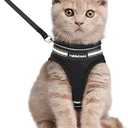 rabbitgoo Cat Harness and Leash Set for Walking Escape Proof, Adjustable Soft Kittens Vest with Reflective Strip for Cats, Comfortable Outdoor Vest, Black, Size M