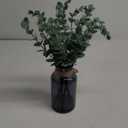 Der Rose 14.5" Fake Plants in Black Glass Vase with Faux Water Artificial Eucalyptus Stems for Centerpiece Table Decoration Black Bathroom Shelf Desk Farmhouse Decor (Sage Green)