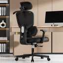 Office Chair, Ergonomic Desk Chair, High Back Desk Chair, Big and Tall Reclining Comfy Home Office Chair with Lumbar Support Breathable Mesh Computer Chair Adjustable Armrests (Blackblack)