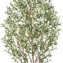 7ft Faux Olive Tree - Large Artificial Olive Tree with Realistic 1513 Leaves and 122 Olives - Lush and Elegant Fake Olive Tree with for Indoor Outdoor Office Living Room Decor