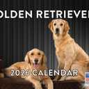 Golden Retriever Calendar 2026 Monthly Wall Calender 12 Month | American Made In The USA