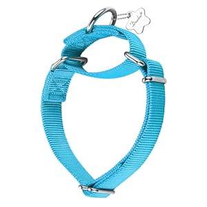 Dazzber Martingale Dog Collar, Escape-Proof and No Slip Design, Heavy-Duty Nylon with Metal Buckle, Adjustable for Small, Medium & Large Dogs, Colorfast for Training, Daily Walks (Turquoise, M)